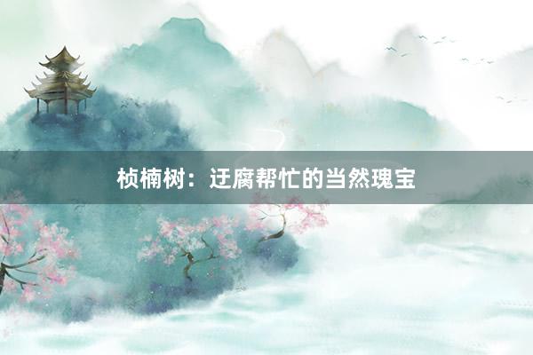 桢楠树：迂腐帮忙的当然瑰宝