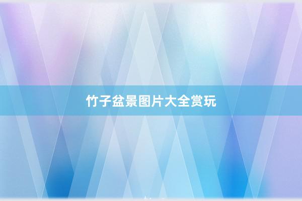 竹子盆景图片大全赏玩