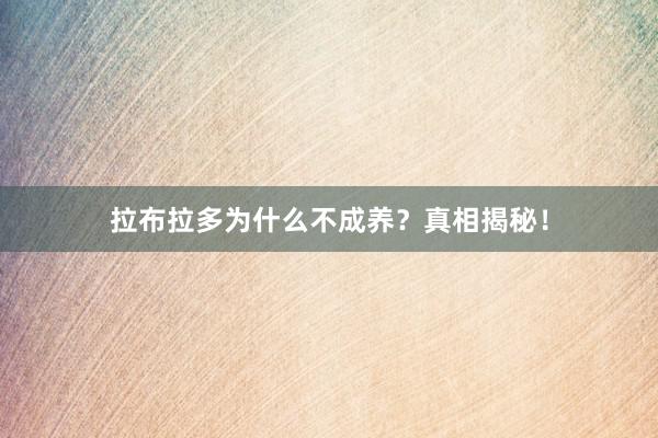拉布拉多为什么不成养？真相揭秘！