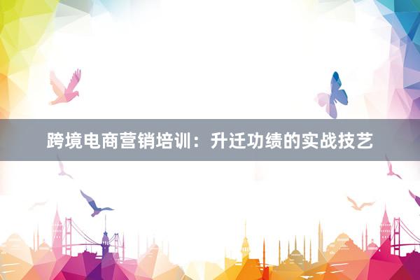 跨境电商营销培训：升迁功绩的实战技艺