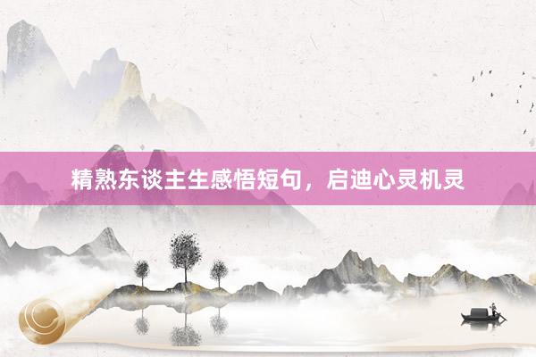 精熟东谈主生感悟短句，启迪心灵机灵